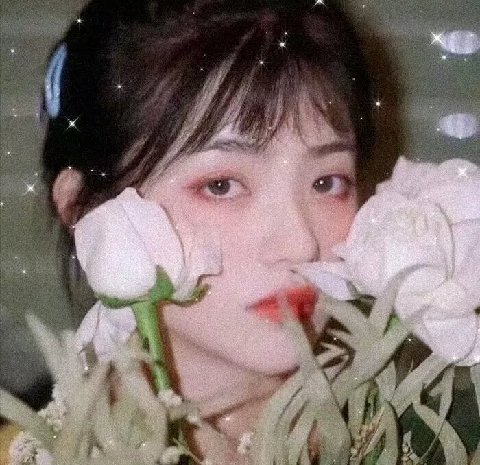 牢笼之热封面